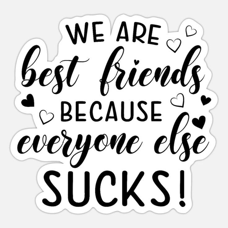 We are Best Friends Because everyone else Sucks Sticker