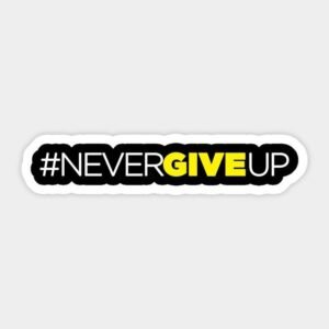 Never Give Up Sticker