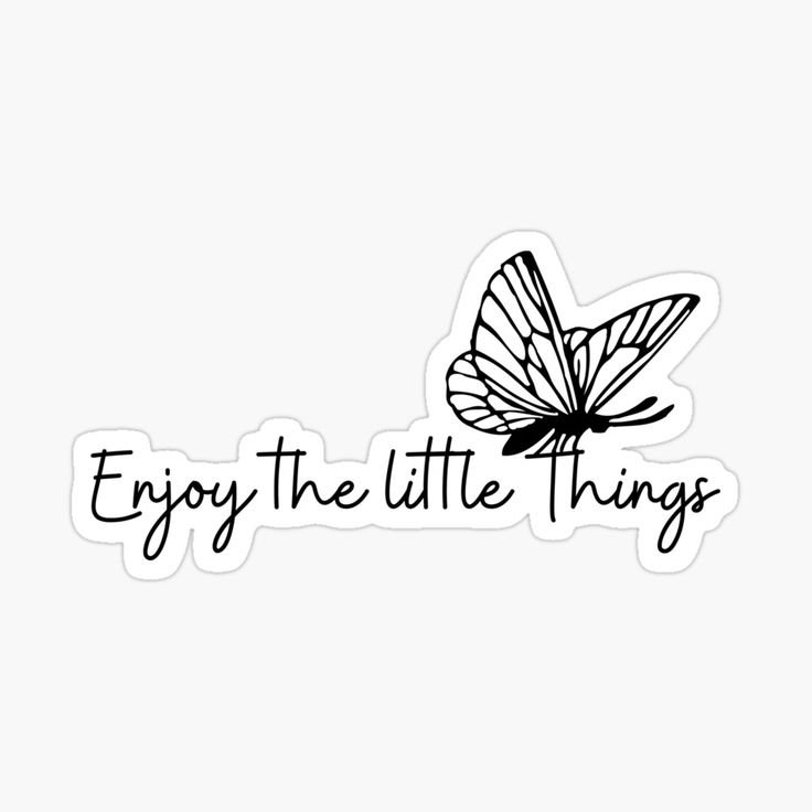 Enjoy the Little Things Sticker